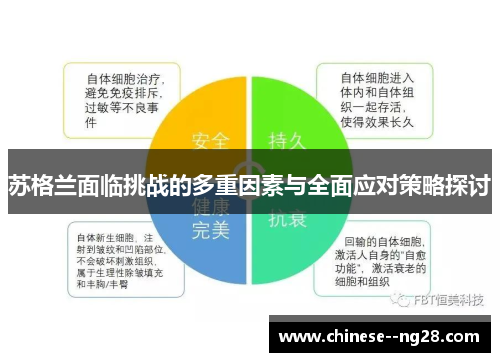 苏格兰面临挑战的多重因素与全面应对策略探讨
