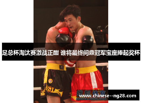 足总杯淘汰赛激战正酣 谁将最终问鼎冠军宝座捧起奖杯